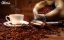 پکیج1: کافه گندم فرحزاد با منو باز کافی شاپ